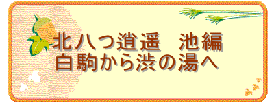 北八つ逍遥 池編
白駒から渋の湯へ