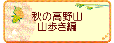 秋の高野山 山歩き編