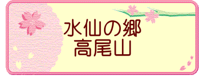 水仙の郷 高尾山
