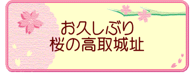 お久しぶり 桜の高取城址