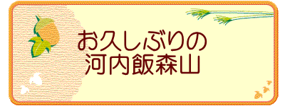 お久しぶりの 河内飯森山