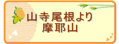 �R���������
����R