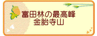 富田林の最高峰 金胎寺山