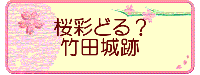 桜彩どる？ 竹田城跡