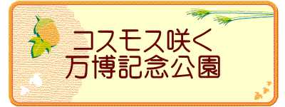 コスモス咲く 万博記念公園