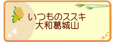 いつものススキ 大和葛城山