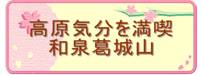 �����C���𖞋i
�a�򊋏�R