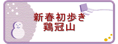 �V�t������
�{���R