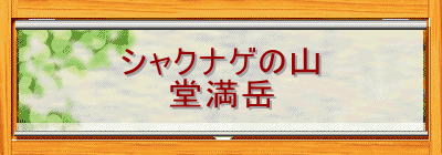 シャクナゲの山
堂満岳
