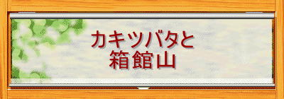 �J�L�c�o�^��
���َR