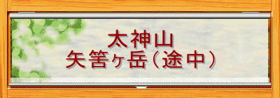 太神山
矢筈ヶ岳(途中)