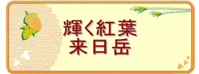 �P���g�t
�����x