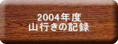 2004�N�x
�R�s���̋L�^
