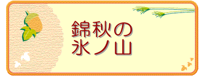 �яH��
�X�m�R