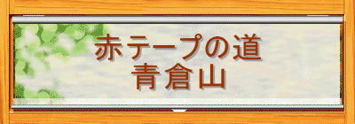 ԃe[v̓
qR