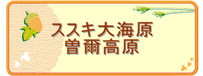 ススキ大海原
曽爾高原