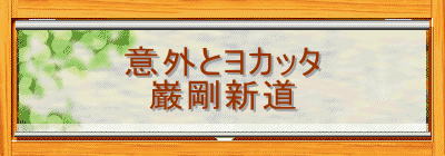 ӊOƃJb^
ލV