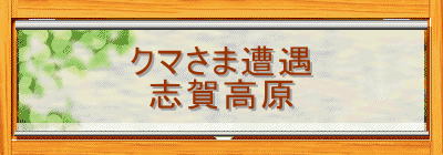 N}ܑ
uꍂ
