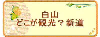 ���R
�ǂ����ό��H�V��