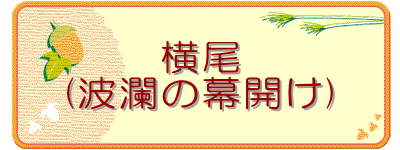 ����
(�g�p�̖��J��)