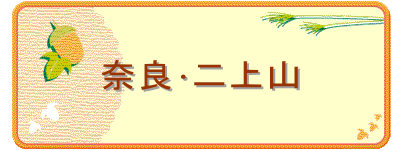 ޗǥR