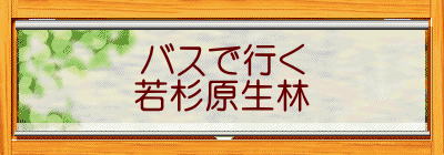 バスで行く 若杉原生林