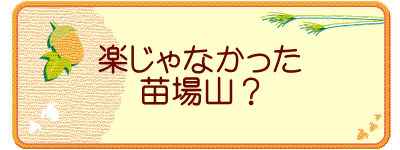 楽じゃなかった 苗場山？