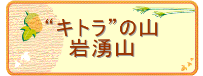 �g�L�g���h�̎R
��N�R