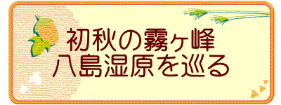 初秋の霧ヶ峰 八島湿原を巡る