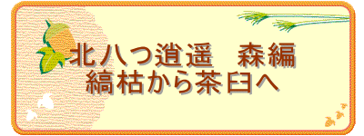 北八つ逍遥 森編
縞枯から茶臼へ