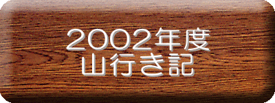 2002�N�x
�R�s���L