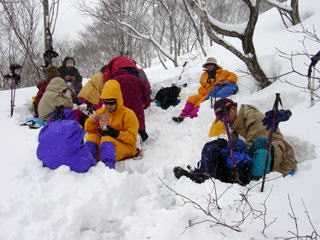 ����Ɛ�ɖ�����Ă���