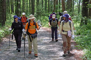 ���Z�ˌ�����o��