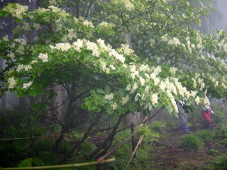 �^�}�m�~�Y�L