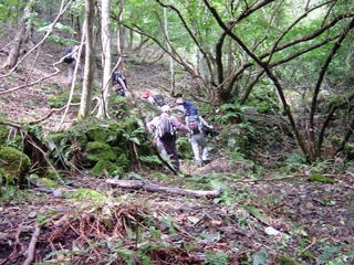 ������I�X�^�R���T�b�T�I