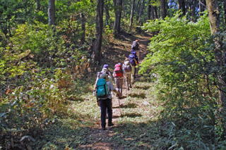 ���ёт̓o��