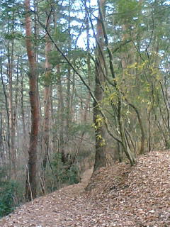 ���P�A���̓�