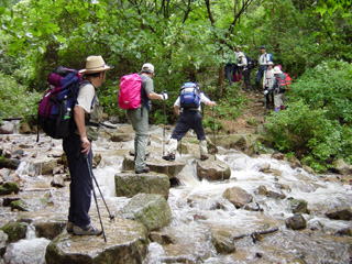 �Q�K�X�䂩��̓o��