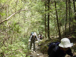 �ؘR����̒��̓o��