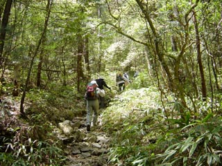 �ؘR����̓o��