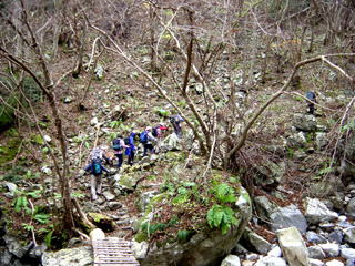 ����J�̏��