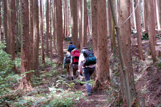 ���т̒��̋}��