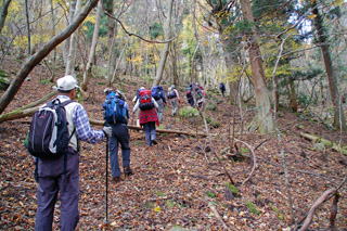 �X�ɗ����t�̓�