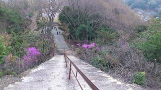 野見宿禰神社