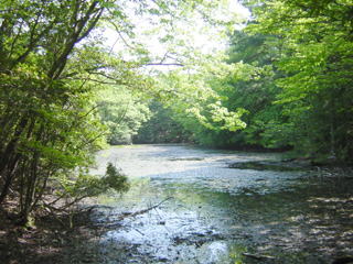 �m�^�m�z��