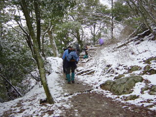 �ʂ���݂�o��