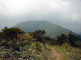 ���ޕ����]�R