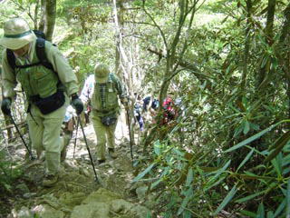 ���삯���ւ̓o��