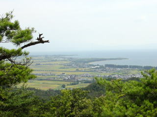 ���i�΂�]��