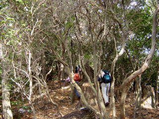 �R��������